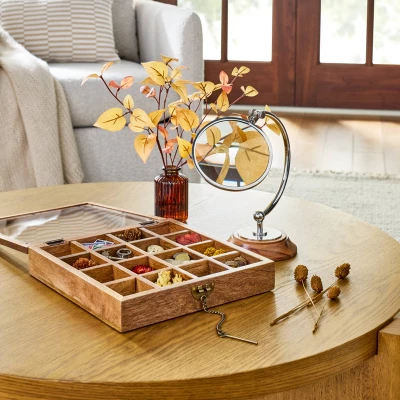 Small Wood Collectables Box - Hearth & Hand™ With Magnolia 3 Small Wood Collectables Box - Hearth & Hand™ With Magnolia - Image 3