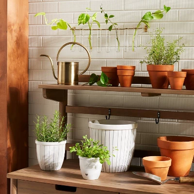 9pc Steel & Glass Plant Propagation Set Gold/Clear - Hearth & Hand™ With Magnolia 1 9pc Steel & Glass Plant Propagation Set Gold/Clear - Hearth & Hand™ With Magnolia